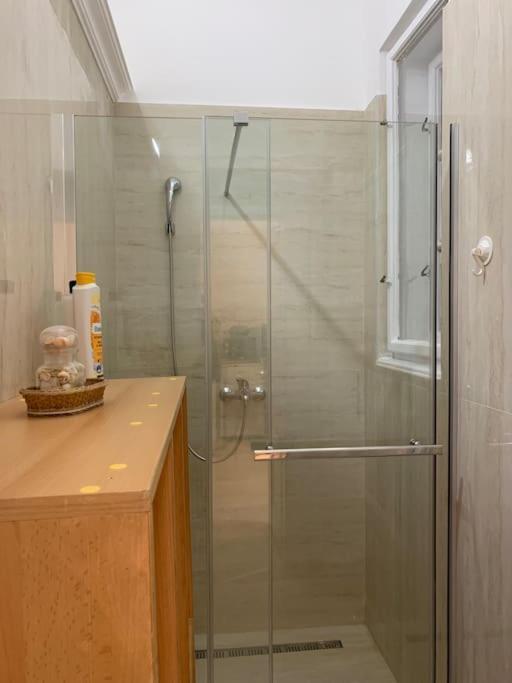 Rustic Apartment Belgrade