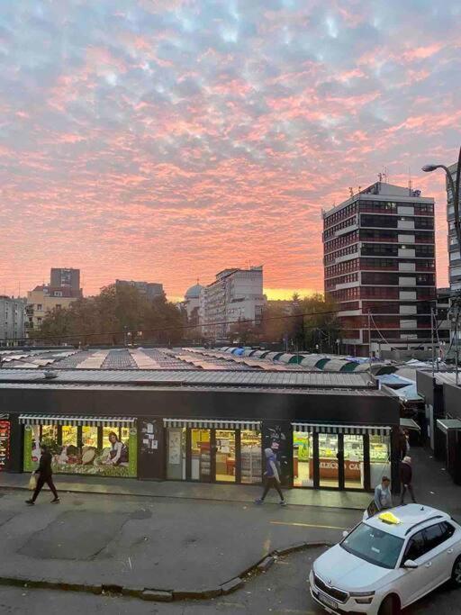 Rustic Belgrade